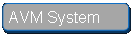 ꨤx: AVM System